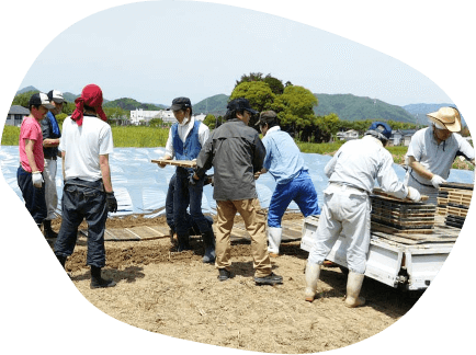 わいらは百姓 わいらは農家 わいらは、おいしいのを食べたい 家族においしいのを食べさせたい 子供や孫が安心して 食べれるものを作りたい ただ、それだけで農作業に励む